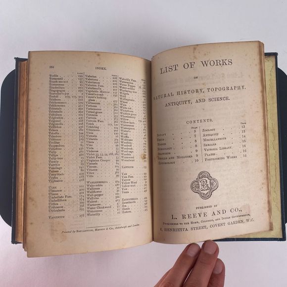 1895 Handbook of British Flora by George Bentham - Picture 9 of 13